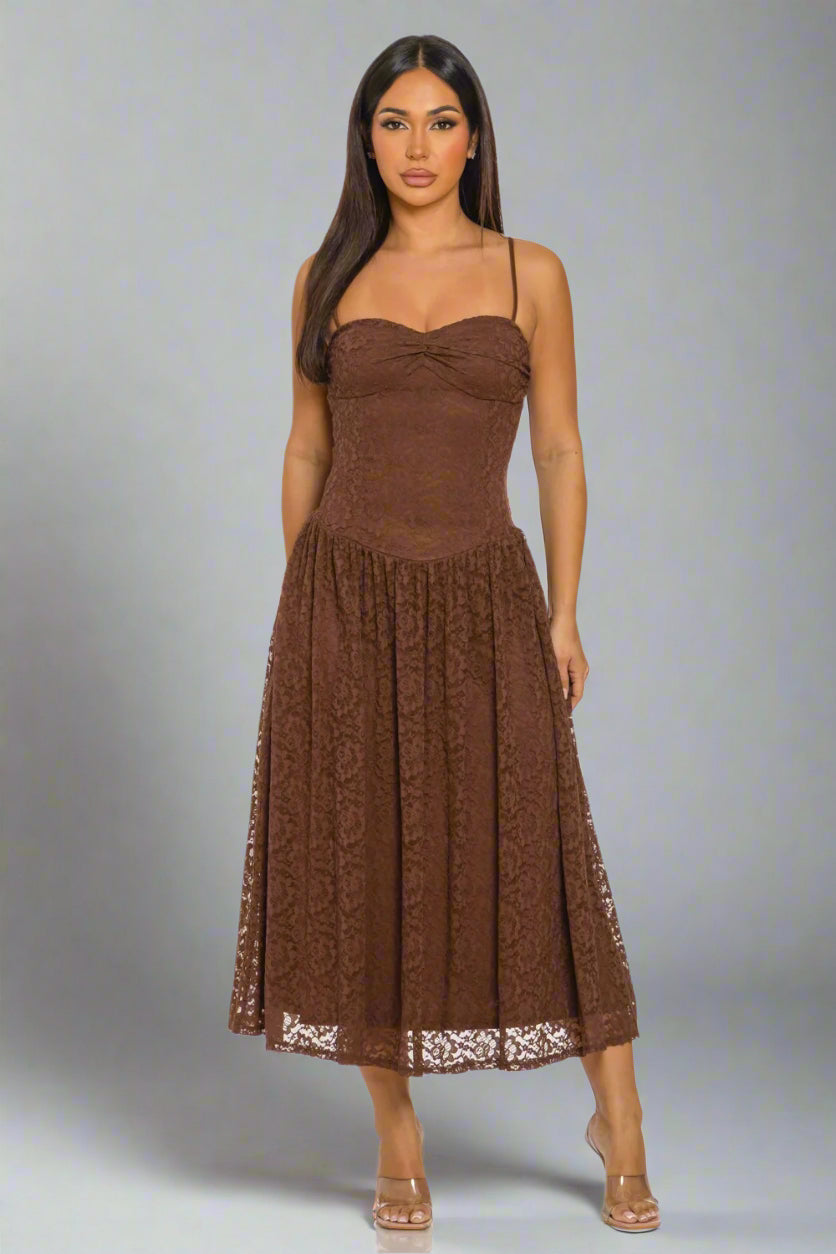 Vintage Lace Charm Dress